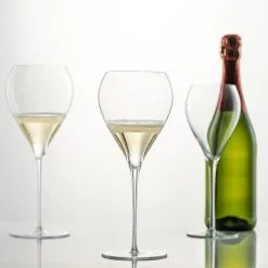 Schott Zwiesel Enoteca Champagneglas 67 Cl -Rödvinsglas Affär enoteca champagneglas 2