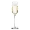Holmegaard Fontaine Champagneglas